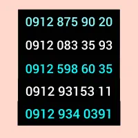 0912.875.90.20