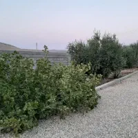 زمین-باغشهری-نشاط-فاز-یک