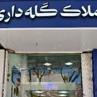 اجاره مغازه ۱۸۰متری الغدیر