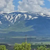 مدیر و حسابدار باسکول سردخانه