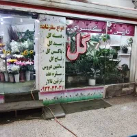 نیروی گلفروشی