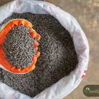 تعداد 30کیسه کودسیاه کشاورزی