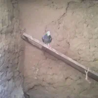 سلام چاک ماده