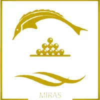 جذب نیرو آقا تولید و بسته بندی