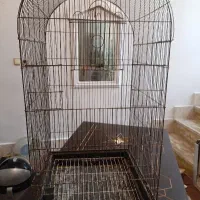 قفسکاسکو