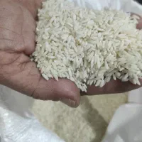 فروش برنج علی کاظمی