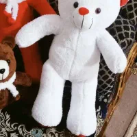 عروسک خرس وخرگوش ۵۰سانتی