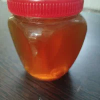 عسل بهاره درجه یک لرستان