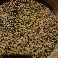 جعبه زنبور‌ده‌قاب‌تخم‌وشفیره