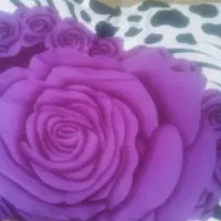 نظافت منزل وگردگیری.عید