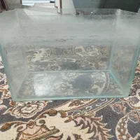 آکواریوم کوچک