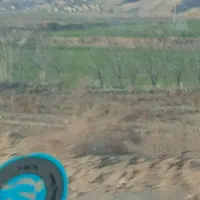 یونجه