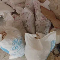 نون خشک