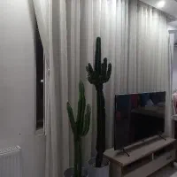 پرده حریر پانچ