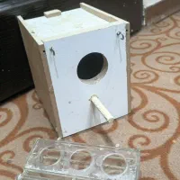 لانه پرنده