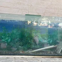 فروش آکواریوم
