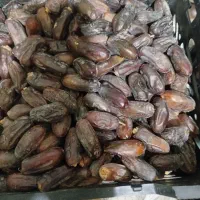 فروش فوری خرما ربی درجه یک