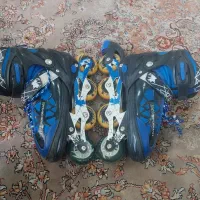کفش اسکیت