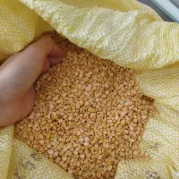 لپه محلی تازه