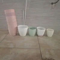 تعدادی گلدان پلاستیکی در سایزهای مختلف