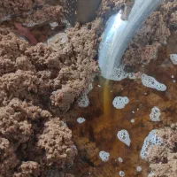 کنجاله روغن ارده/روغن ارده کنجد بدون حرارت