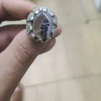 انگشتر شجر تک درخت