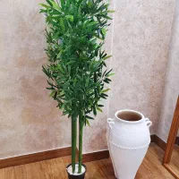 درختچه بامبو پربرگ و اقتصادی