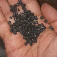 گرانولABS