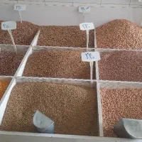 حبوبات و خشکبار مرتضی فیض آبادی