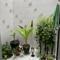 رجایی 230m ویلایی بازسازی شده ، سه بر نور