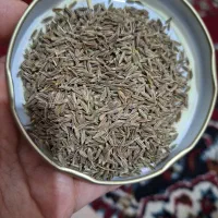 کراویه /زیره سبز