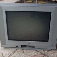 تلویزیون