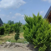 فرصت-طلایی-برای-سرمایه-گذاری-مطمئن-دنج