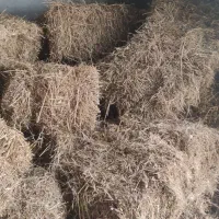 یونجه پرس
