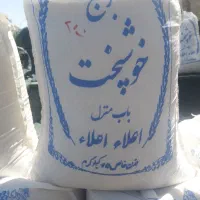 برنج گرگان خوشپخت