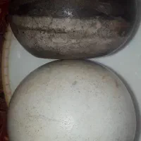 سنگ الماس اسیاب خیلی خیلی قدیمی وباستانی