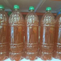آبغوره تازه امسالی
