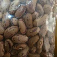 لوبیا چیتی