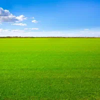 باغ گیلاس ۱۳۳۰ متری برف انبار