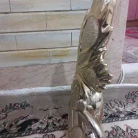 قو طلایی