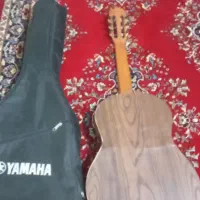 گیتار پارسی مدل m6