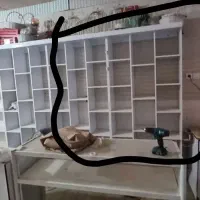 قفسه ام دی اف