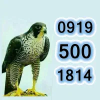 شــمـاره ای که پـرواز تان میدهد.