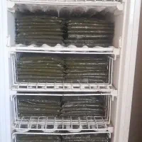 ابپز خام خشک