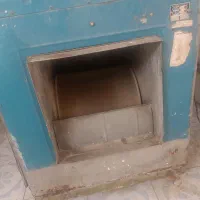 یک عدد کولرابی سالم