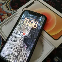 iphone 12 پلمپ|موبایل|تهران, فلاح|دیوار