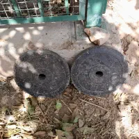 وزنه ودمبل