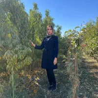 فروش نهال مثمر لیبل‌دار باضمانت ۵ساله و تحویل فوری