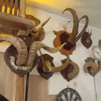 لوازم عتیقه وقدیمی