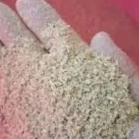 سبوس گندم